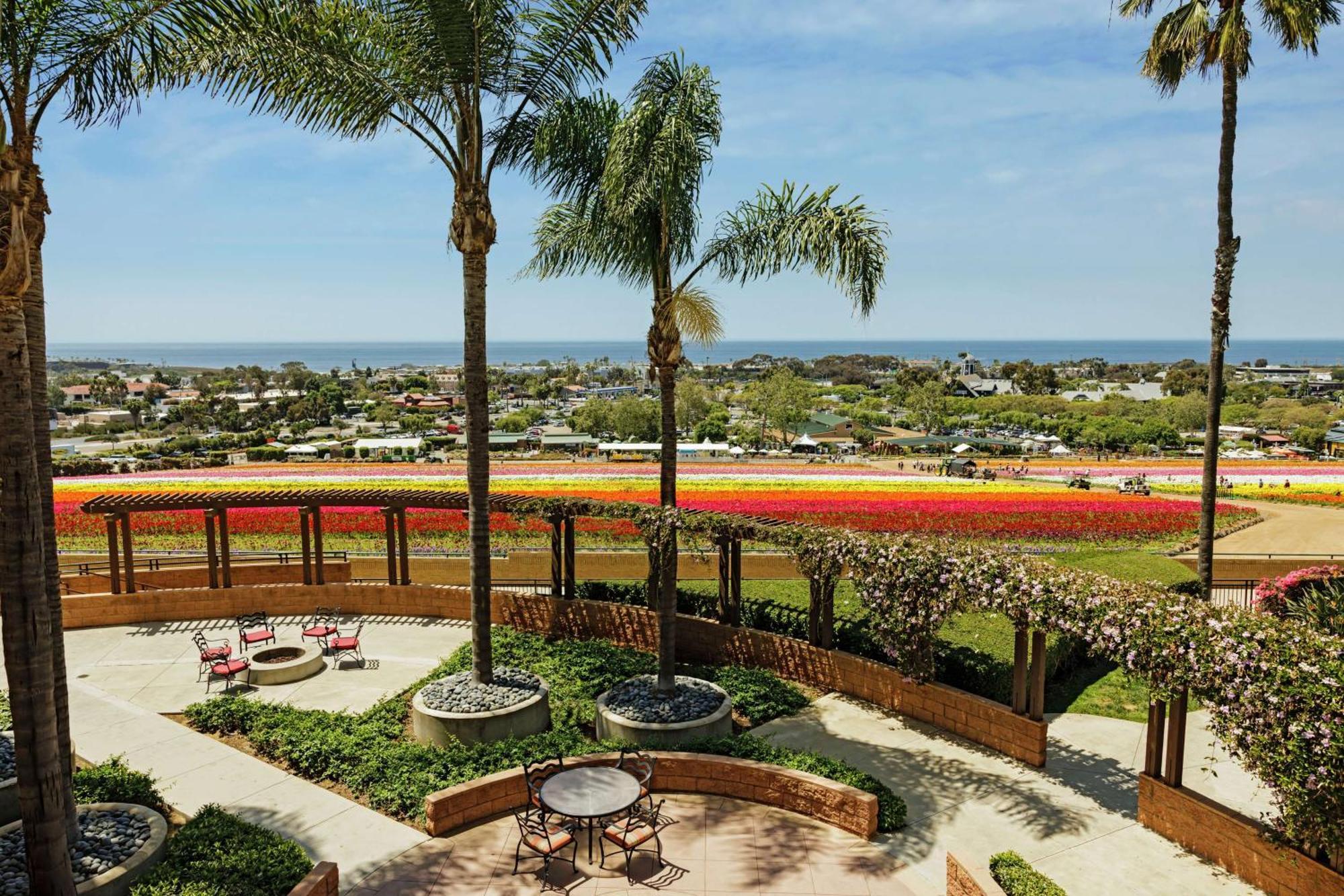 Hotel The Cassara Carlsbad, Tapestry Collection By Hilton Extérieur photo